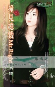 《撞見總裁Mr.Right (撞見愛情之一)》