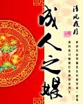 《成人之媒》
