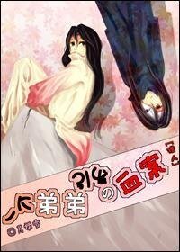 《(獵人同人)一個弟弟引發的血案》