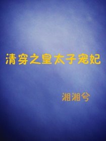 《清穿之皇太子宠妃》