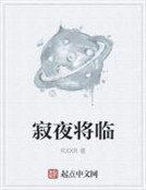 《寂夜將臨》