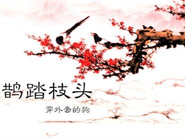 《鹊踏枝头》