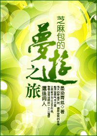 《(瓊瑤同人)還珠之芝麻包的夢遊之旅》