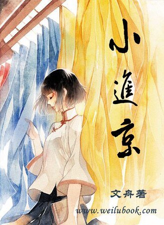 《九京門之小進京》