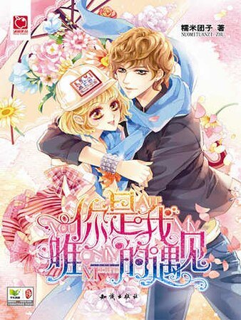 《你是我唯一的遇見(精)》