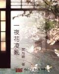 《一夜花凌乱》