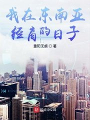 《我在東南亞經商的日子》