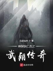 《神探狄仁傑之武朝傳奇》