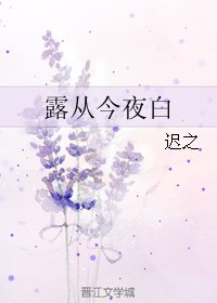 《露從今夜白》
