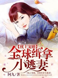 《枕上寵婚:全球緝拿小逃妻/枕上寵婚:狼性老公要夠了沒》
