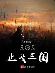 《網遊之止戈三國》