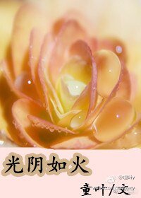 《光陰如火(現代女尊)》