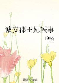 《誠安郡王妃軼事》