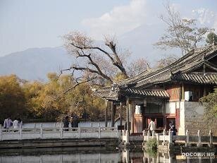《有生之年狹路相逢》