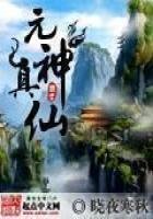 《元神真仙》