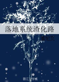 《落地系统渣化路》