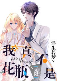 我真不是花瓶[無限]