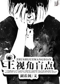 《主视角盲点/完全自杀》