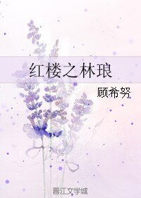 《(BG/紅樓同人)紅樓之林琅》