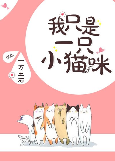 《我只是一只小猫咪》