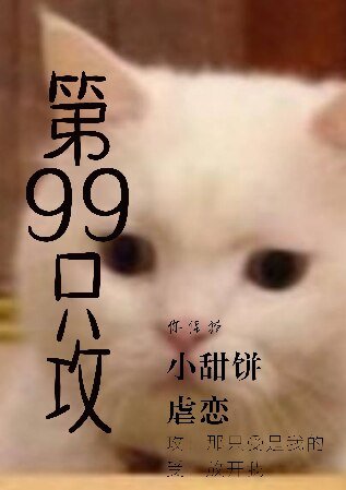 《第99只攻》