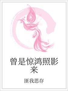 《曾是驚鴻照影來》