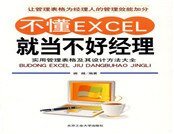 《不懂Excel就当不好经理》