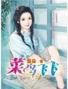《菜鸟飞飞(职场游戏系列一)》