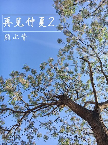 再見仲夏2