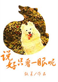 《說好只看一眼呢》