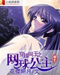 《(網王同人)穿越網王之網球公主》