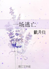 《一场逃亡》