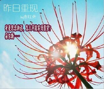 《(家教同人)昨日重現》