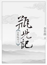 《(金瓶梅同人)瓶兒記》