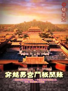 穿越男宮鬥秘聞錄