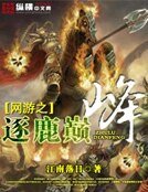 《網遊之逐鹿巔峰》