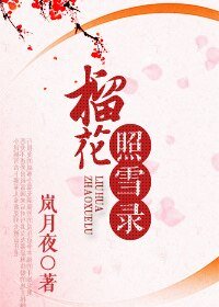 《榴花照雪錄》