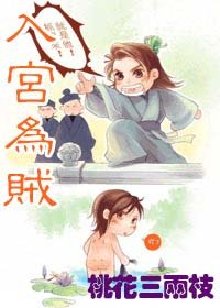 《入宮為賊》