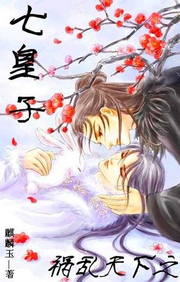 《禍亂天下之七皇子》