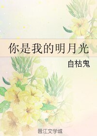 《你是我的明月光》