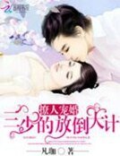 《寵婚到底:三少的寶貝妻》
