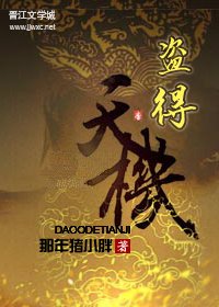 《盜得天機》