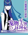 《寵物王爺壞壞妃》