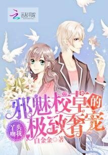《邪魅校草的極致奢寵:丫頭吻我!》