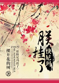 《朕快尼瑪掛了》