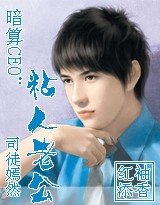《暗算CEO:粘人老公》