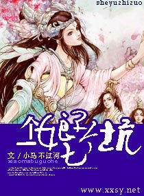《一個娘子七個坑》