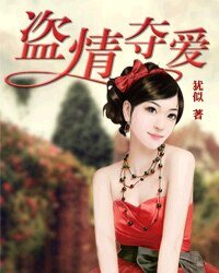 《盜情奪愛》