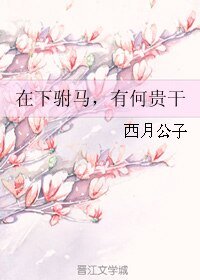 《在下駙馬,有何貴幹》