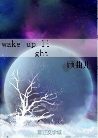 《(百变机兽同人)wake up light》